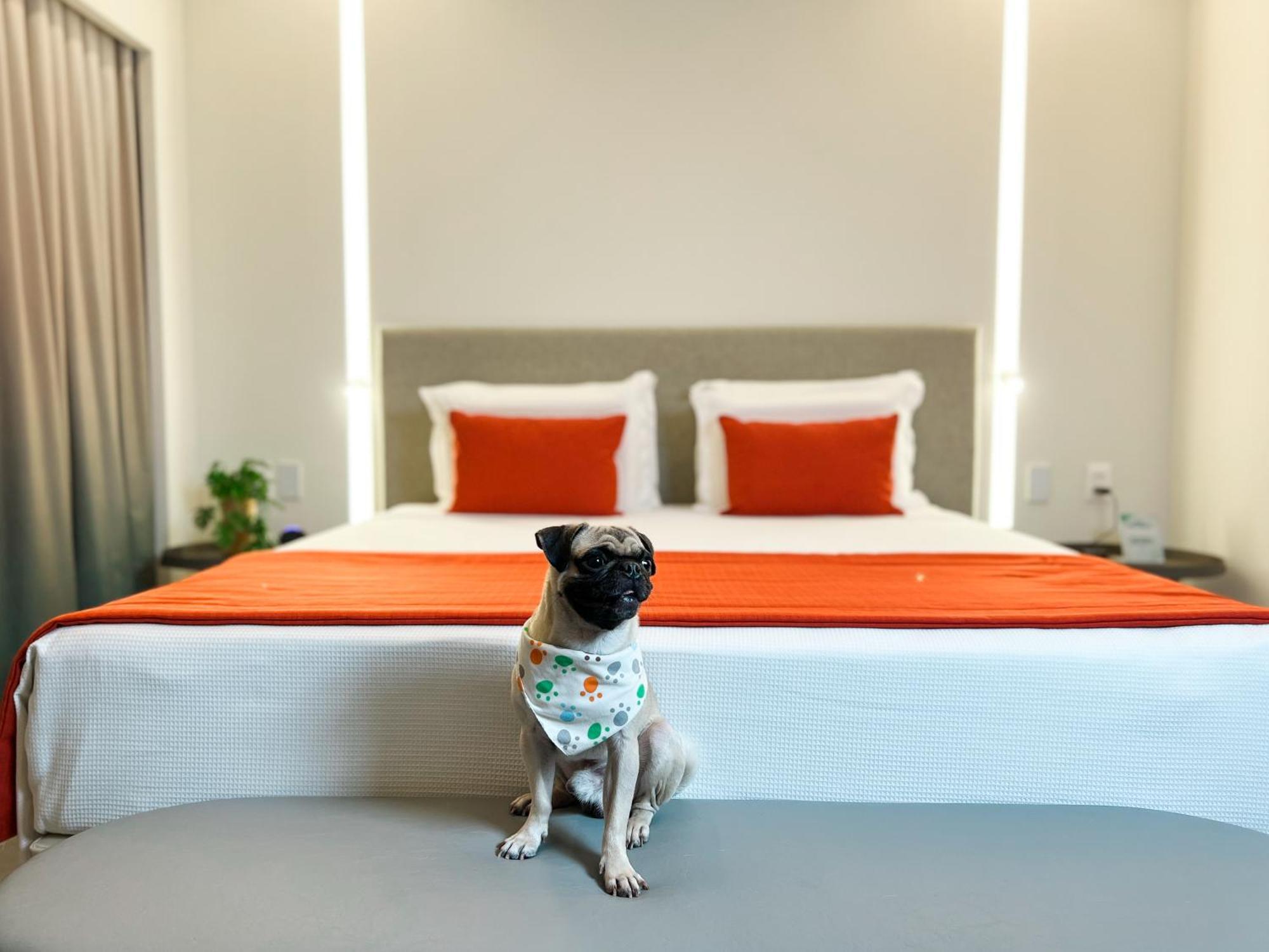 Japaratinga Lounge Resort エクステリア 写真